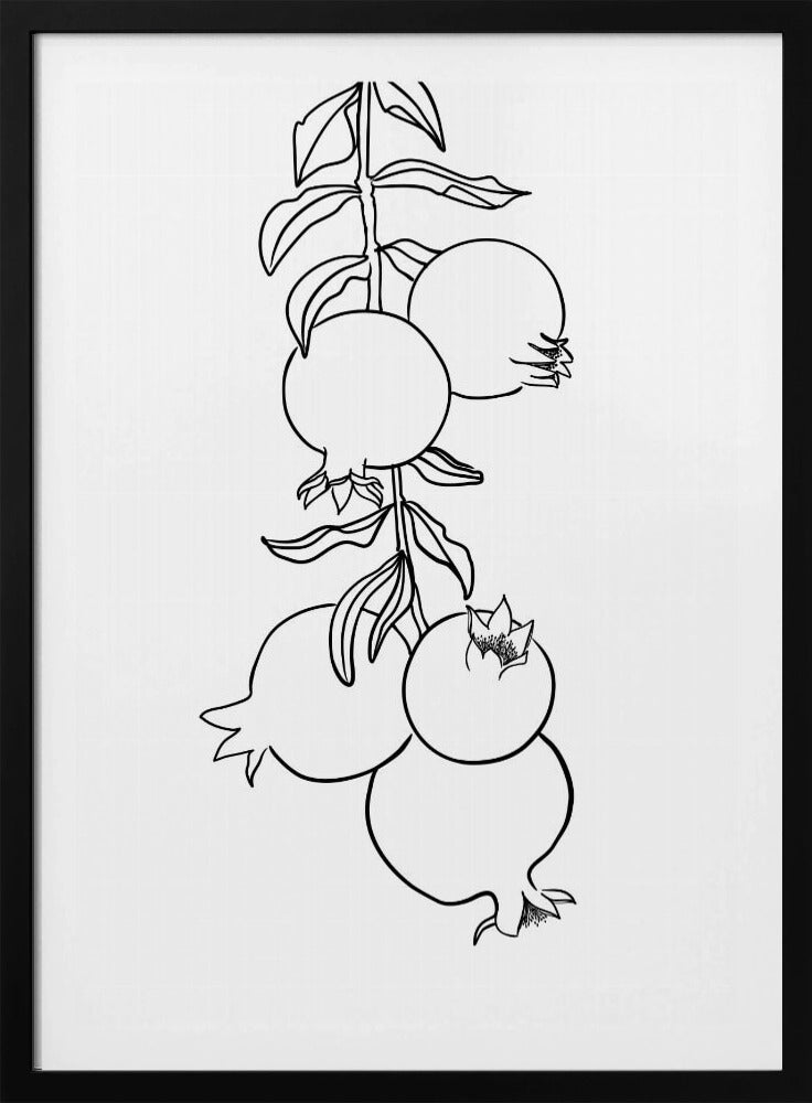 Branch of pomegranates | Poster