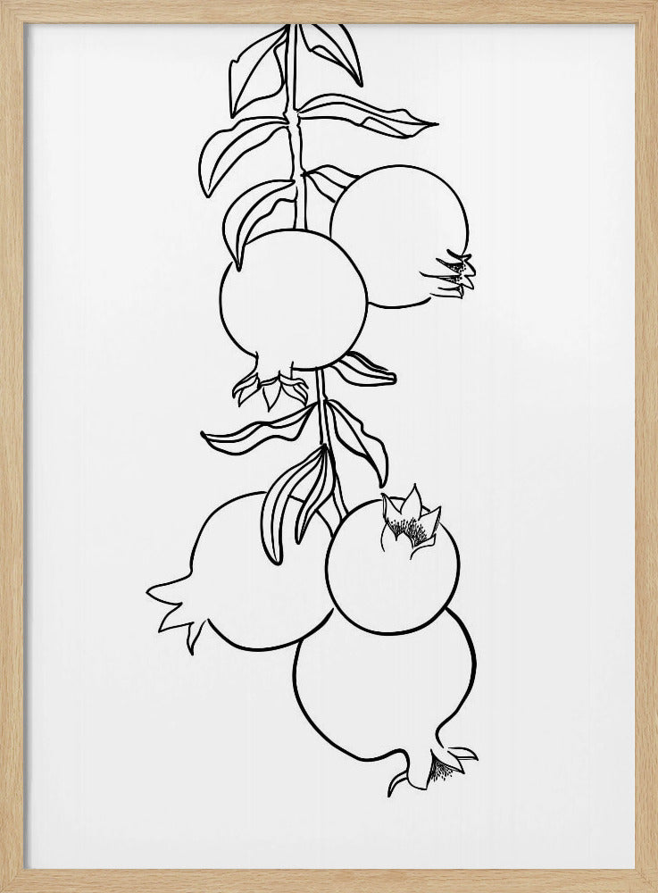 Branch of pomegranates | Poster
