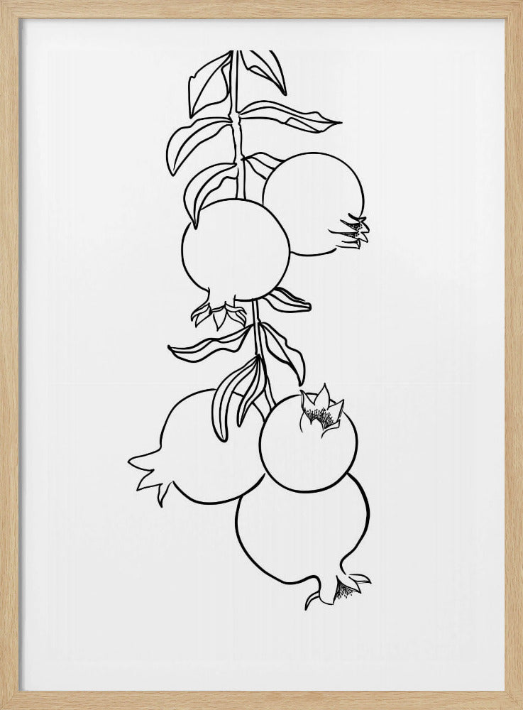 Branch of pomegranates | Poster