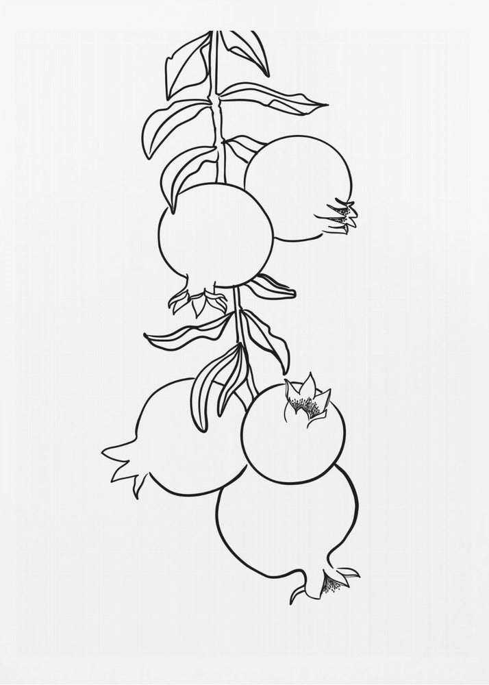 Branch of pomegranates | Poster