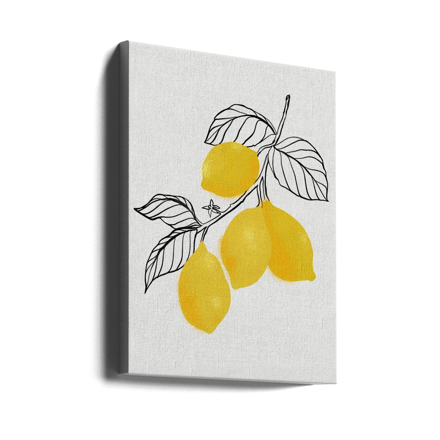 Citrons | Tableaux sur Toile