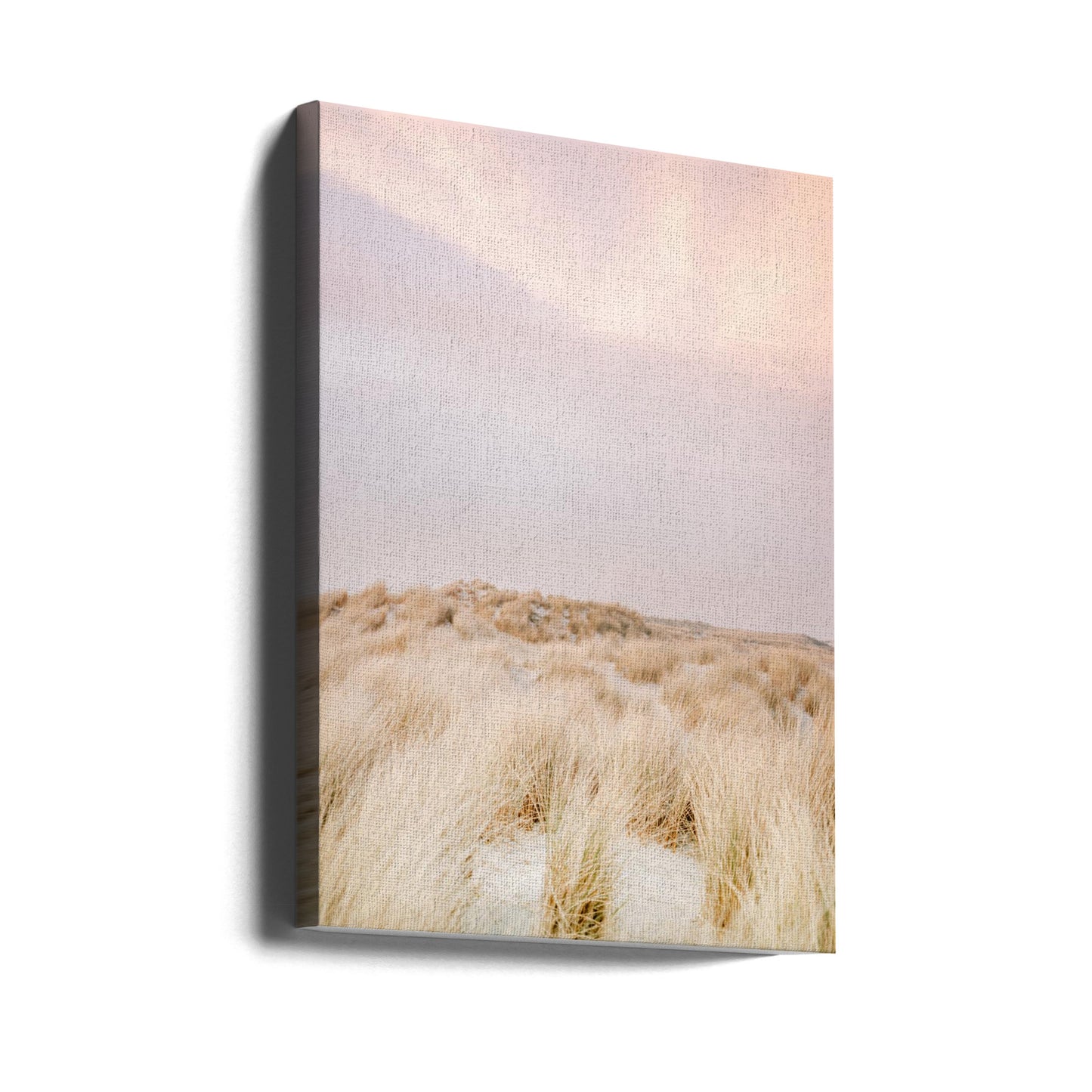Amelandin dyynit 2 | Canvastaulut
