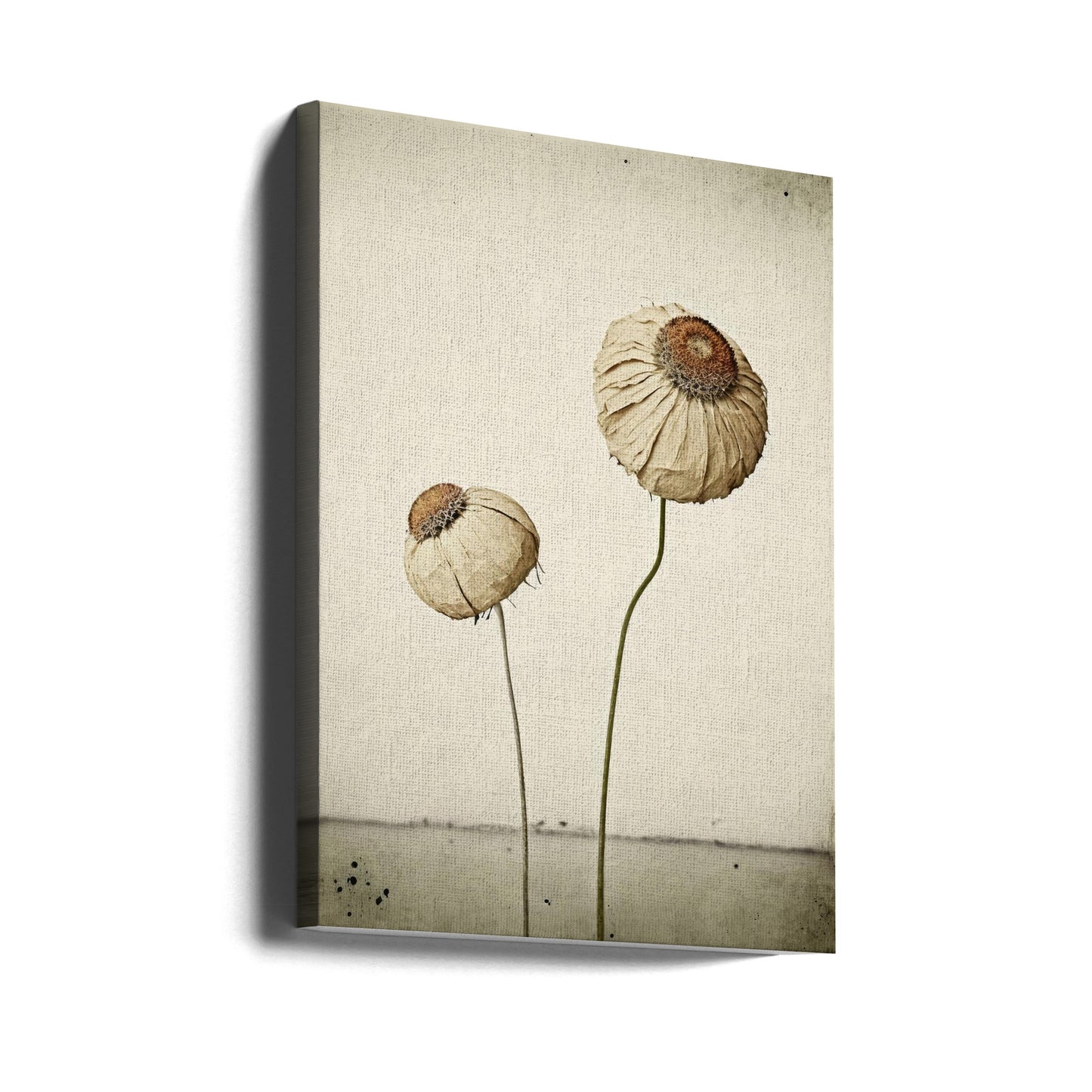 Evig blomma | Canvas