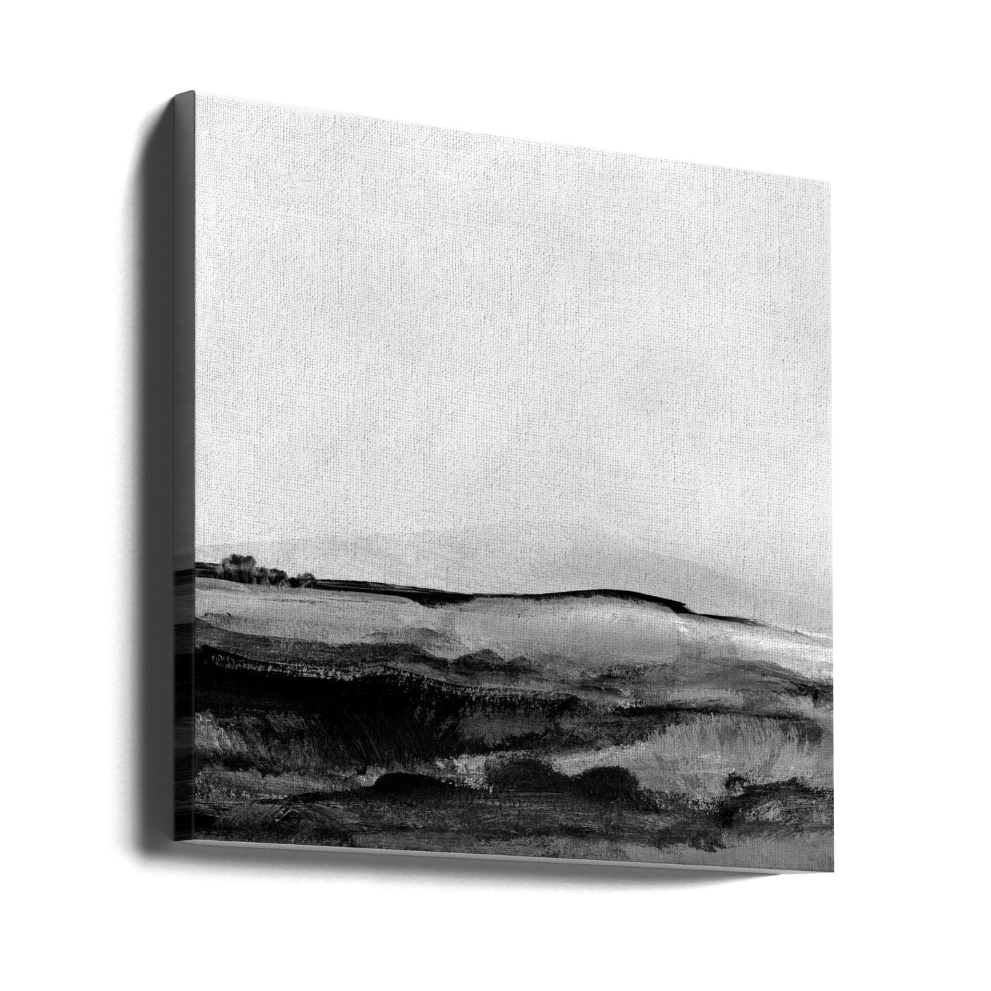 Paisaje Mono No1 | Impresiones en Lienzo
