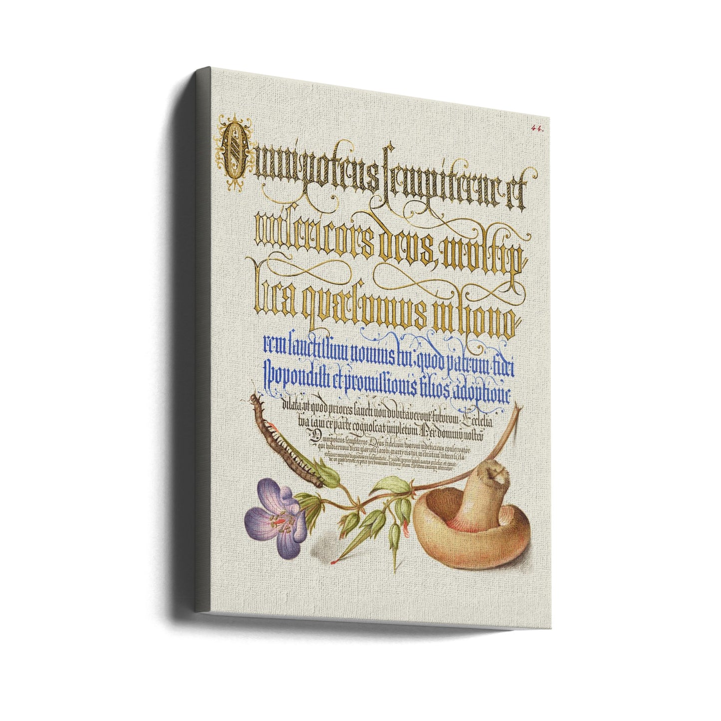 Paddestoel Posters - Kunstdrukken | Canvasprints