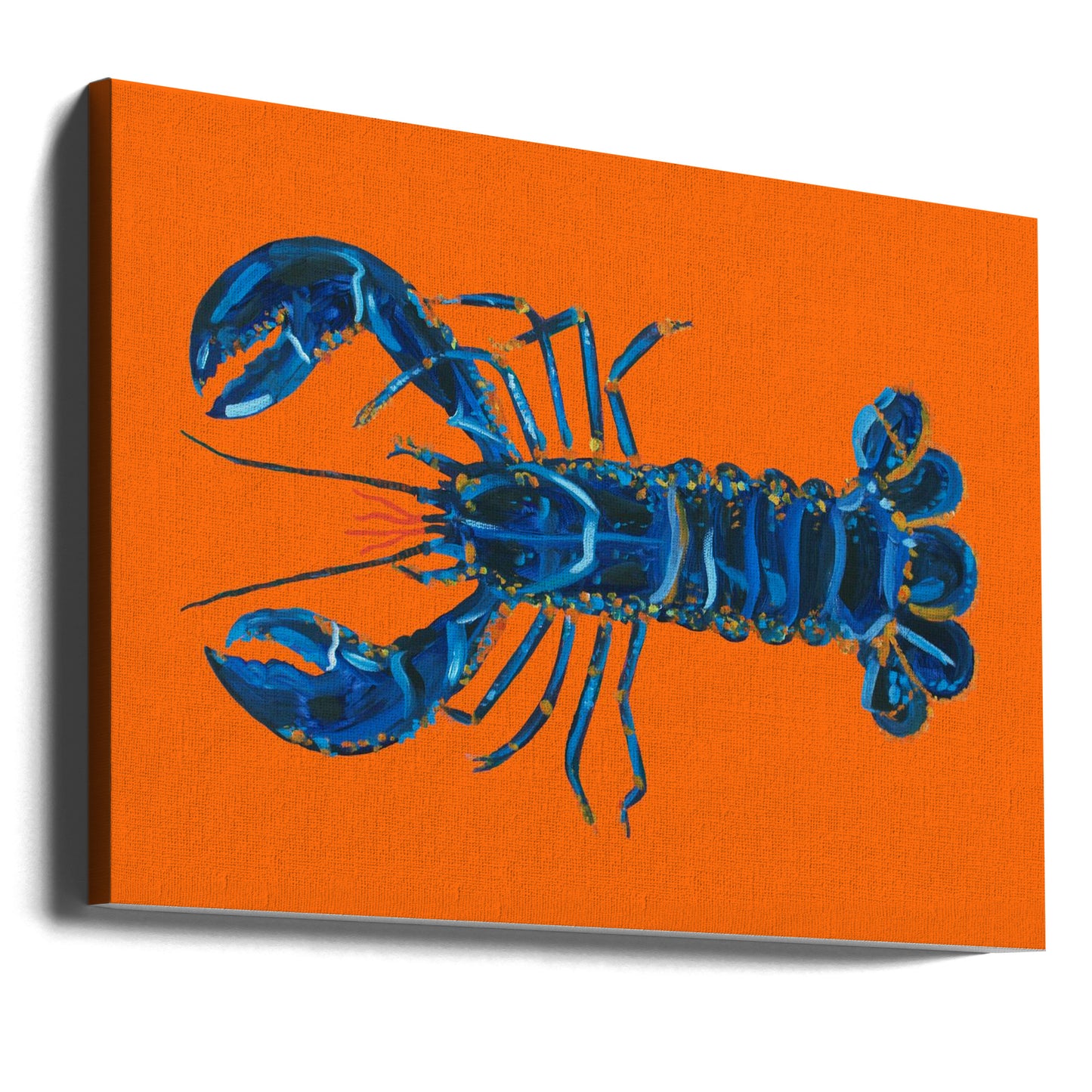 Kreeft op sinaasappel | Canvasprints