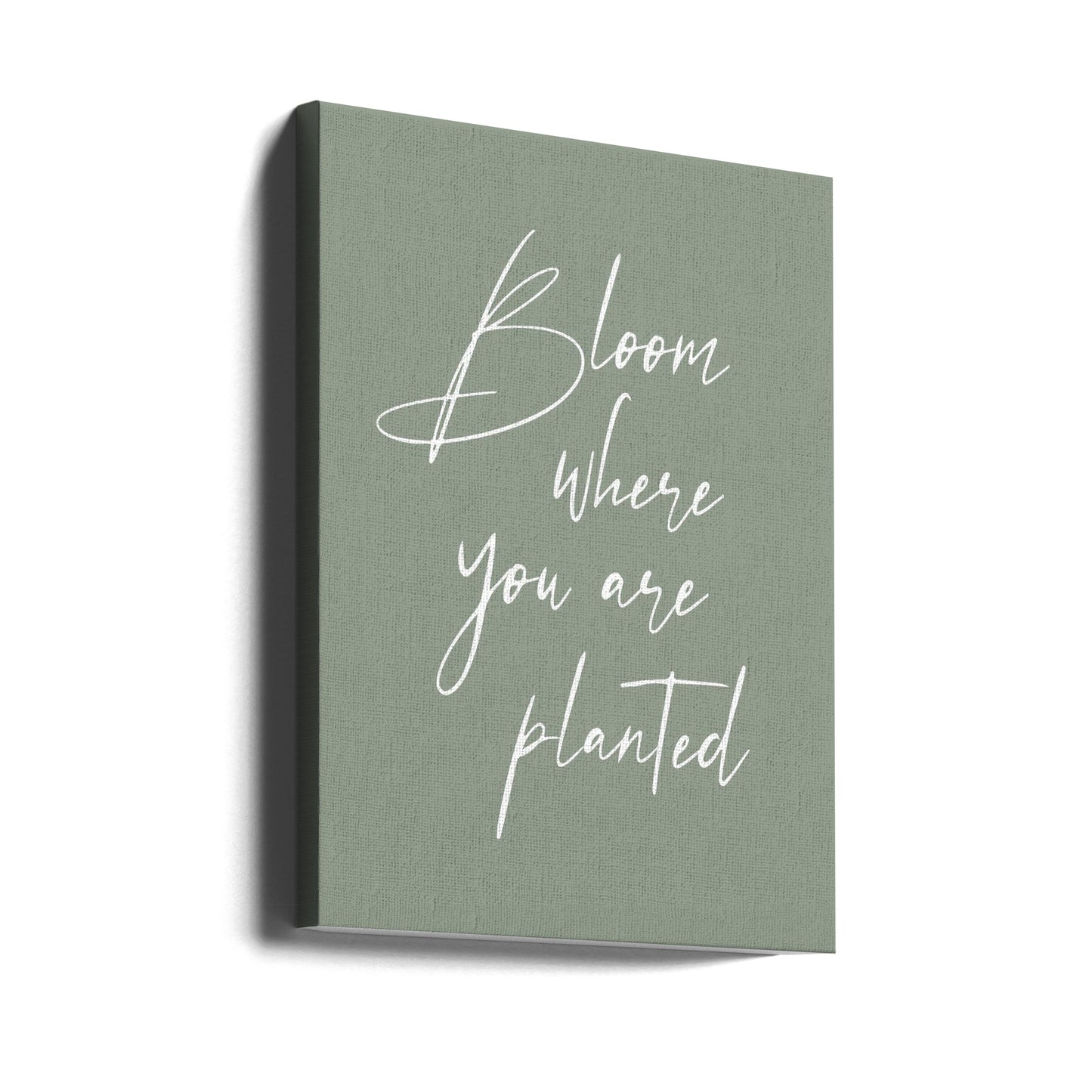 Bloom | Canvas