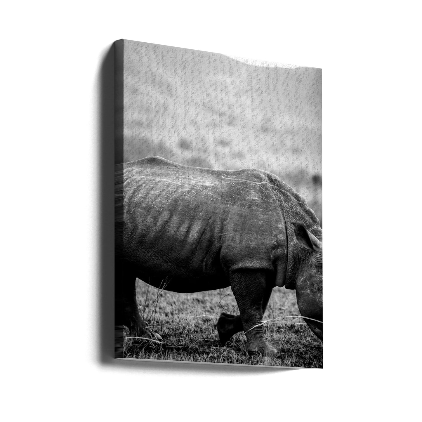 Black Rhino | Canvas
