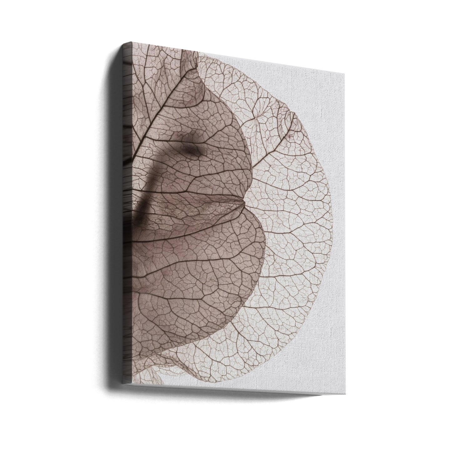 Bougainvillea Island | Canvas