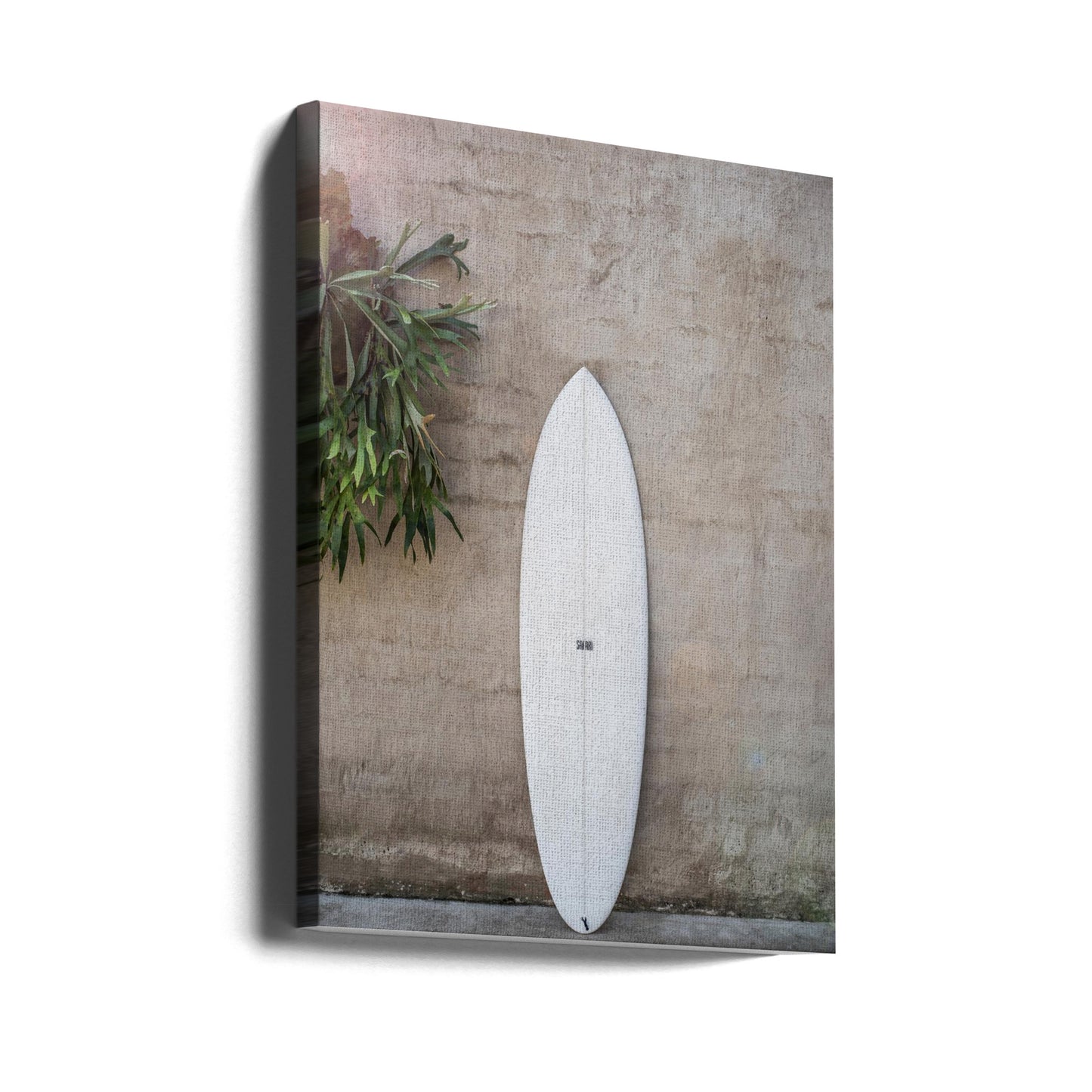 Safari Twinfin | Lærredsbilleder
