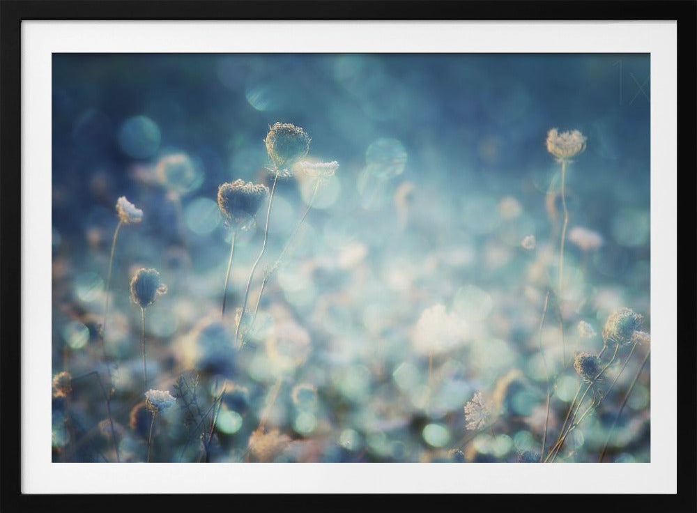 Diamants | Posters - Affiche Artistique