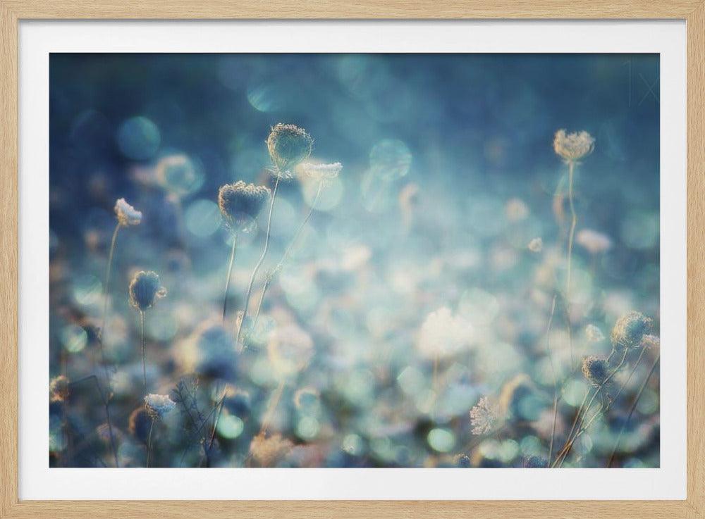Diamants | Posters - Affiche Artistique