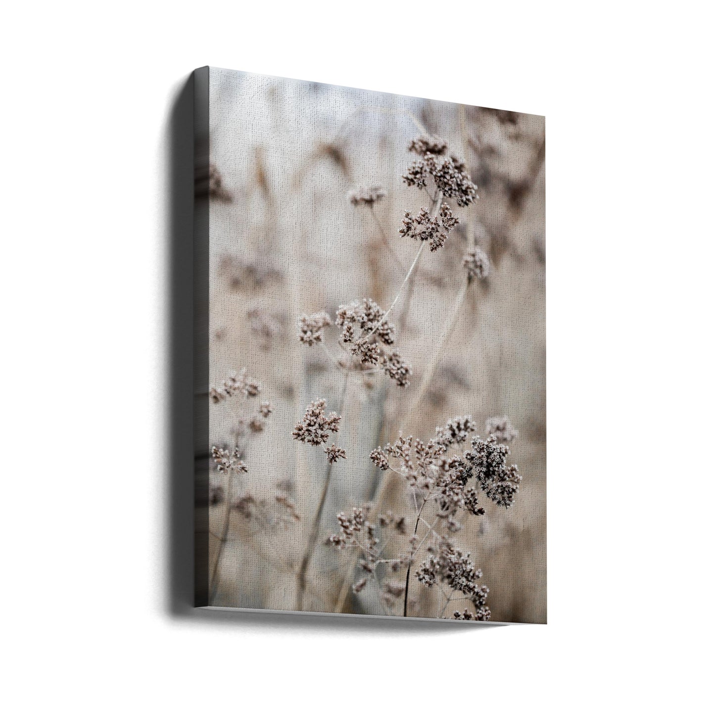 Unknown 8 | Canvas