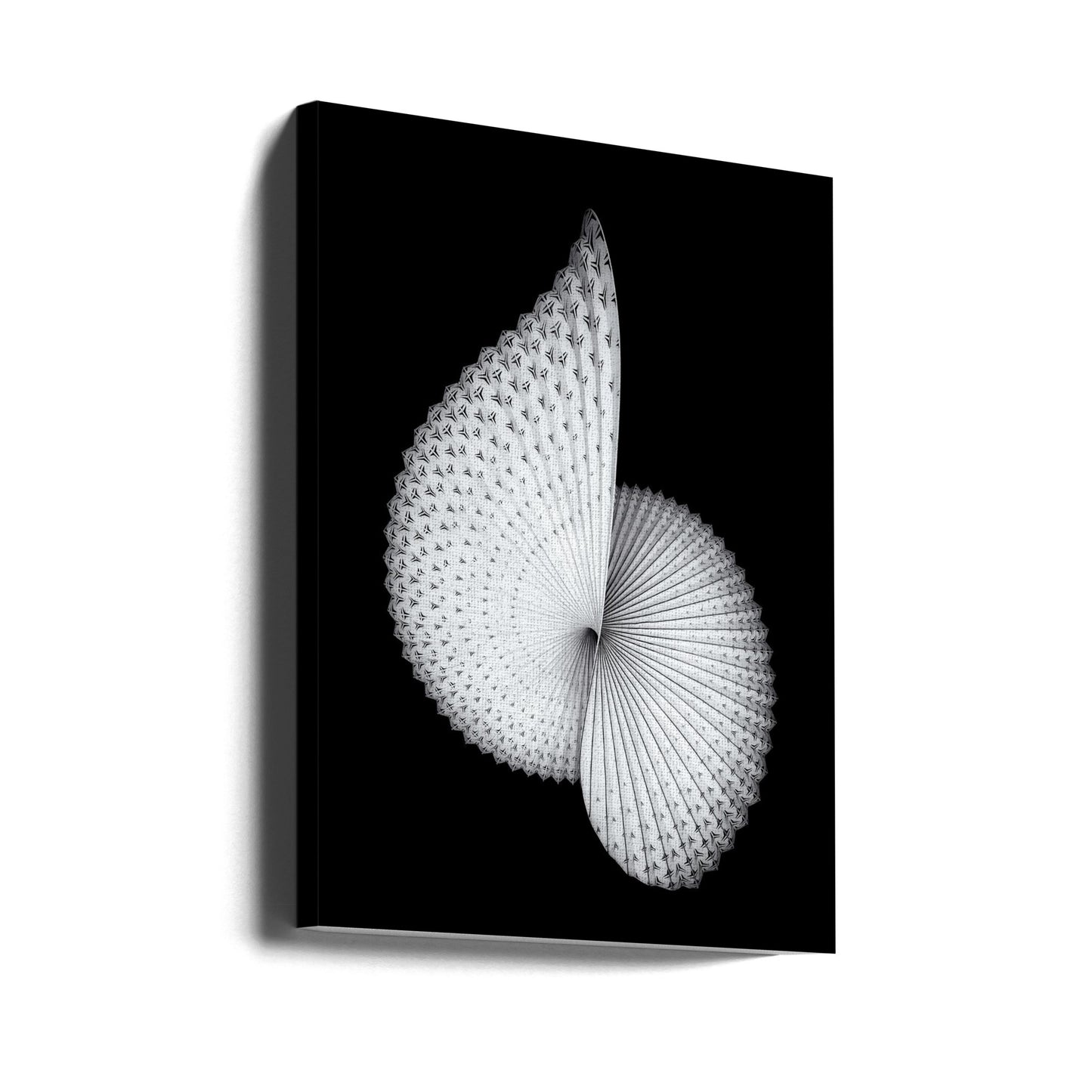 Nautilus-like Sculpture | Canvas