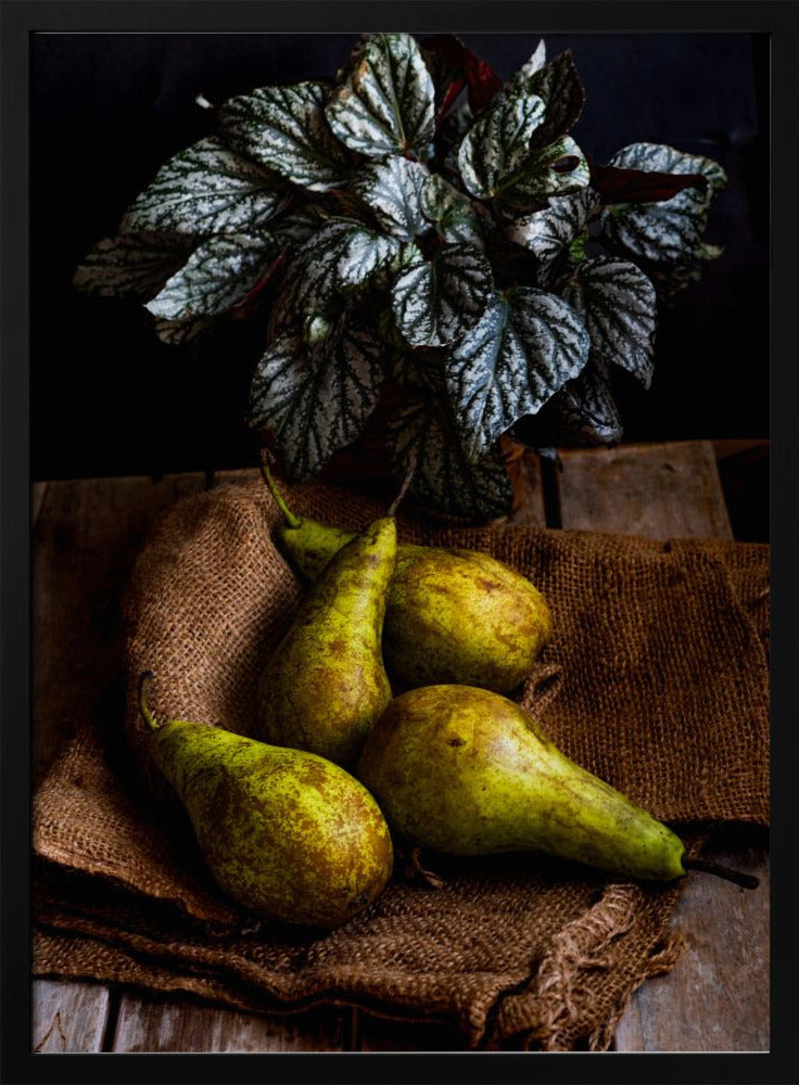 peren | Posters - Kunstdrukken