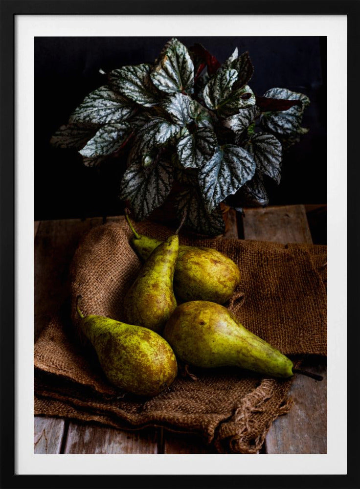 peren | Posters - Kunstdrukken