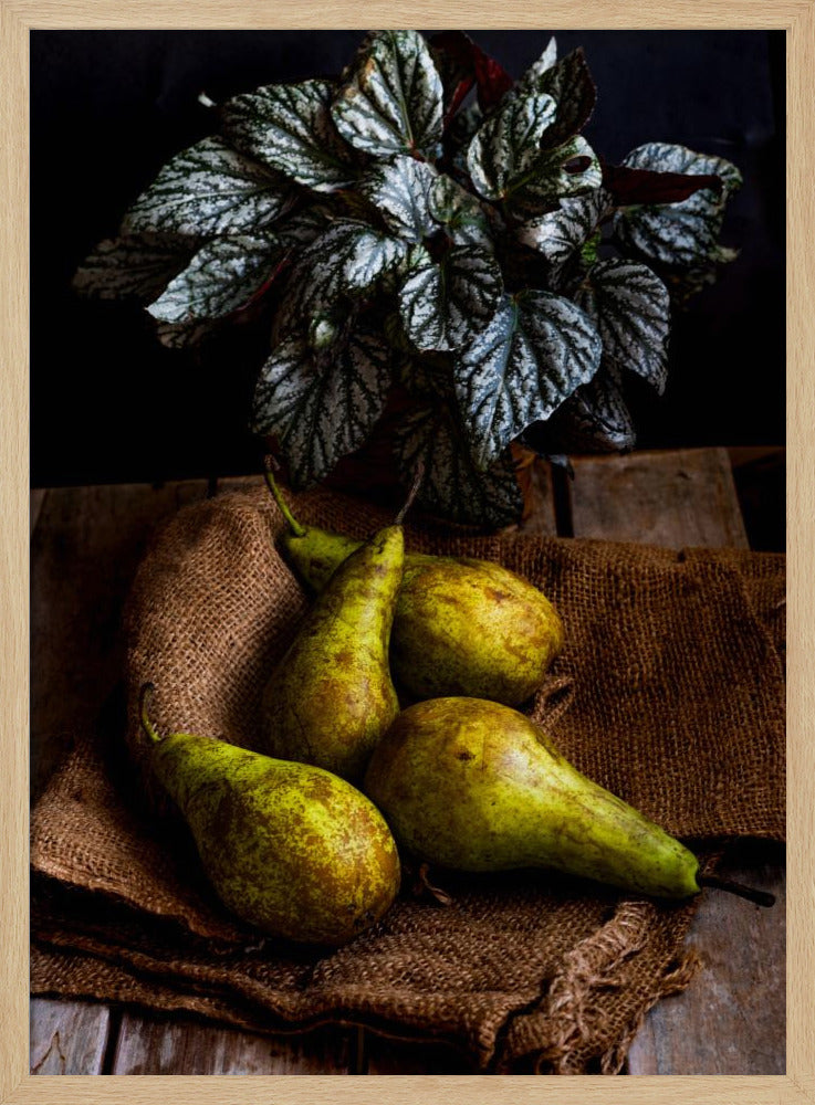peren | Posters - Kunstdrukken