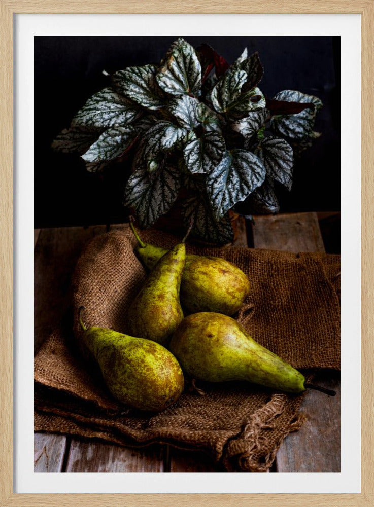 peren | Posters - Kunstdrukken