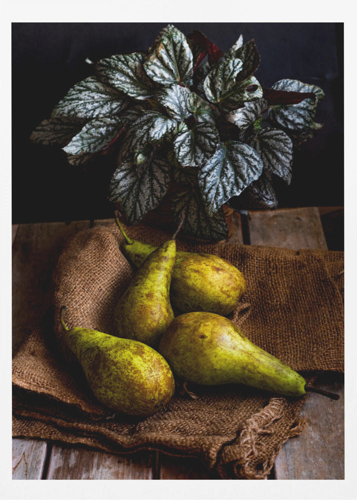 peren | Posters - Kunstdrukken