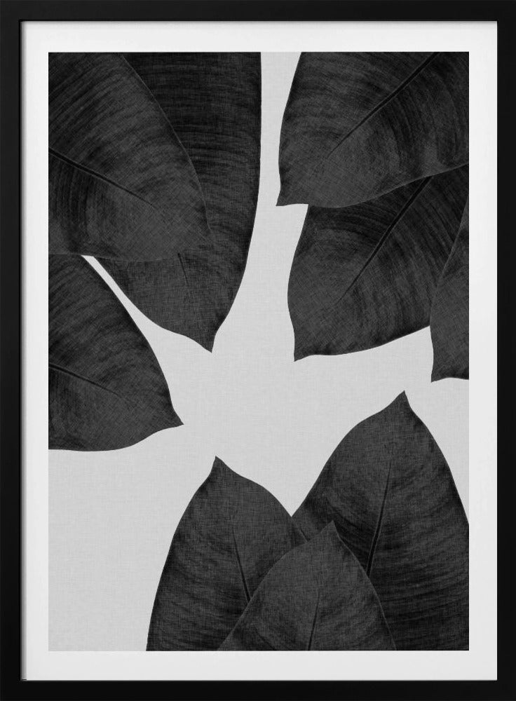 Banana Leaf Black & White I | Poster