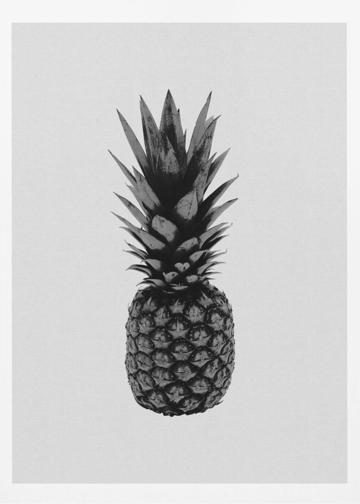 Ananas svart og hvit | Plakater - Kunsttrykk