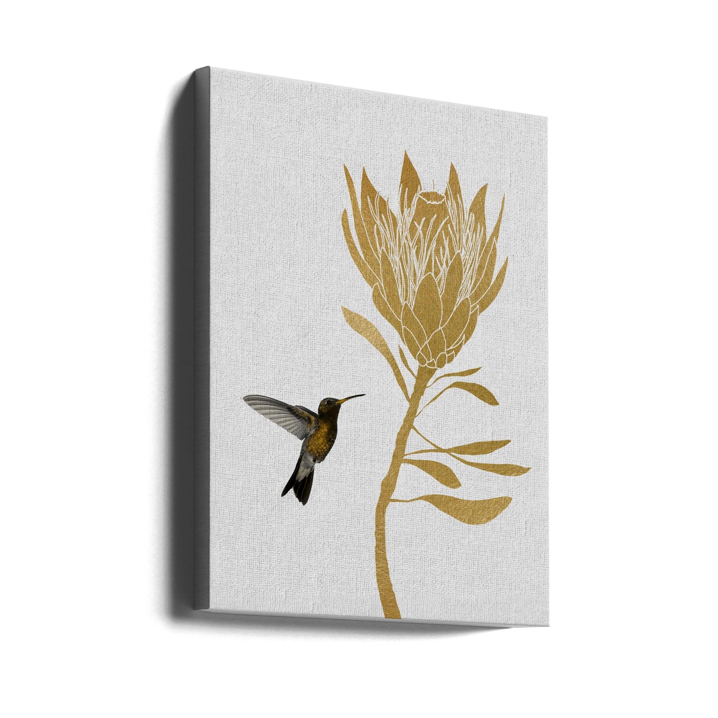 Colibrì e fiore I | Stampe su Tela