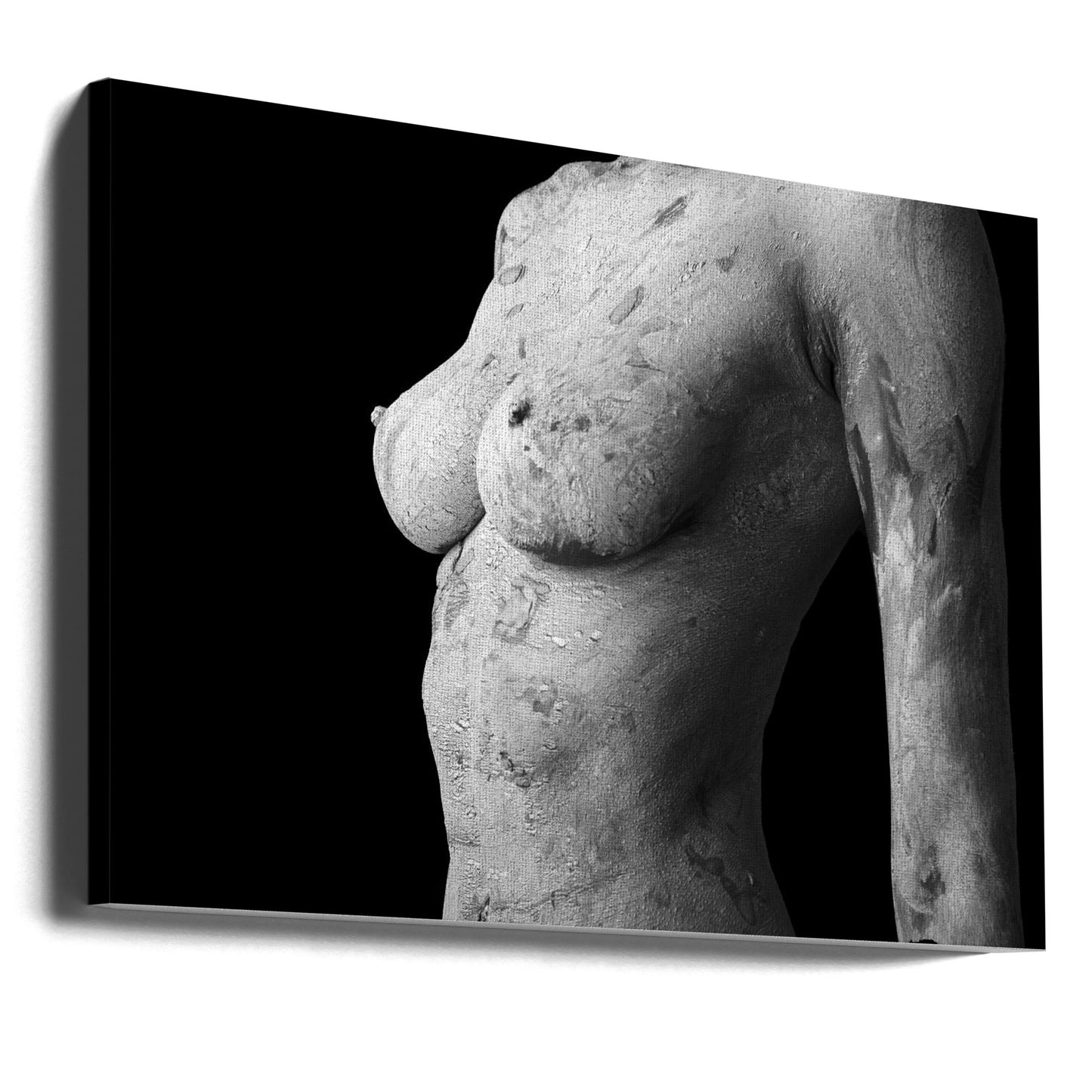 Beauté aberrante | Tableaux sur Toile
