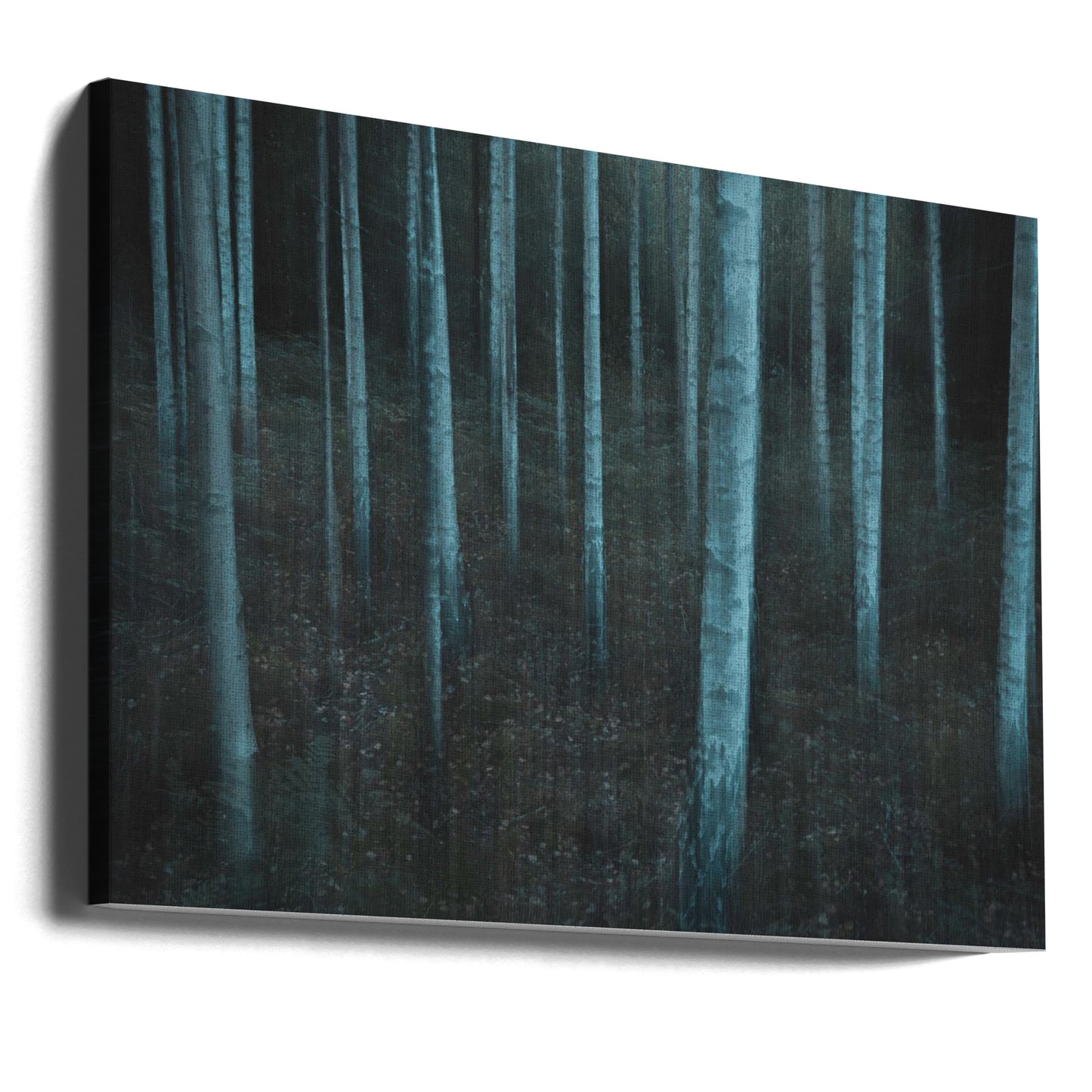 ICM v3 | Canvasprints