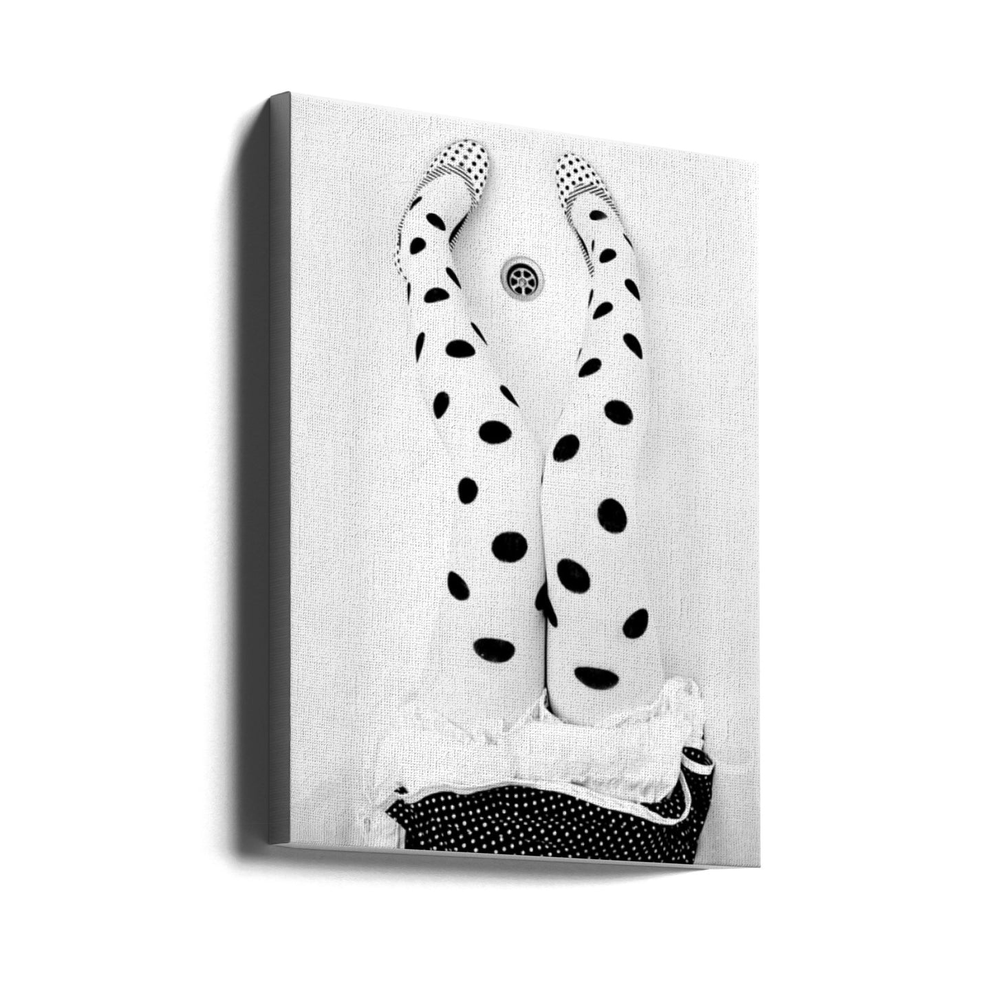 dotted 2 | Canvas