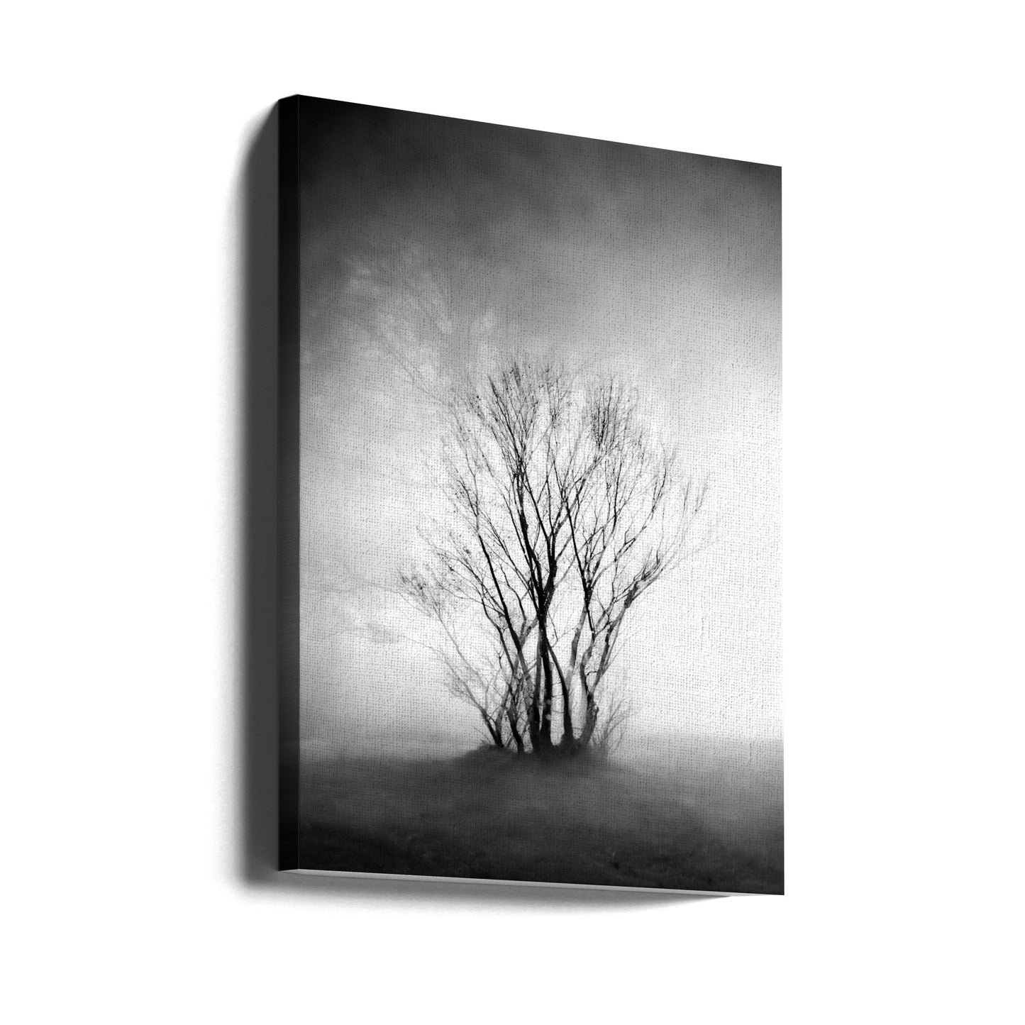 naakt | Canvasprints