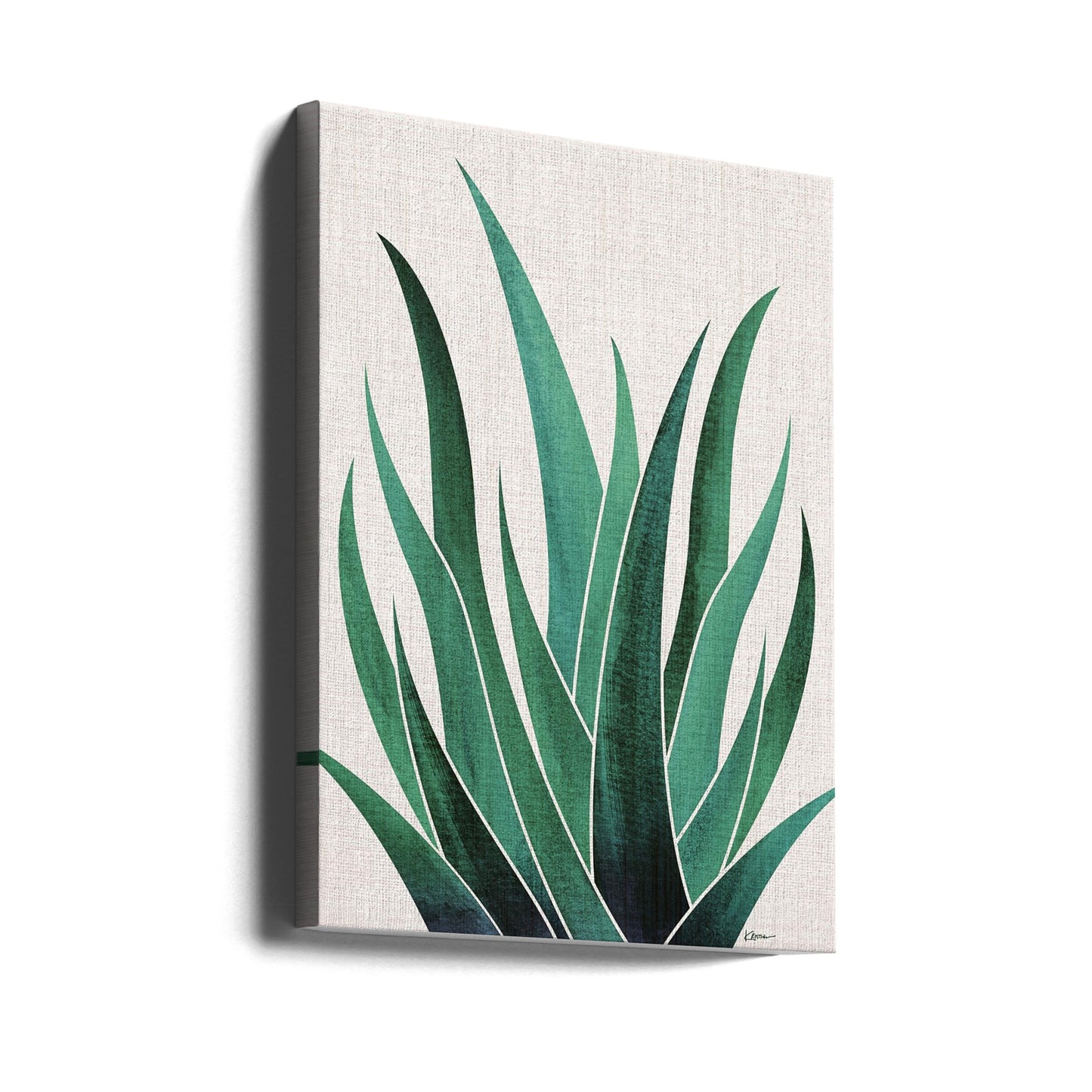 Ökenagavekaktus | Canvas