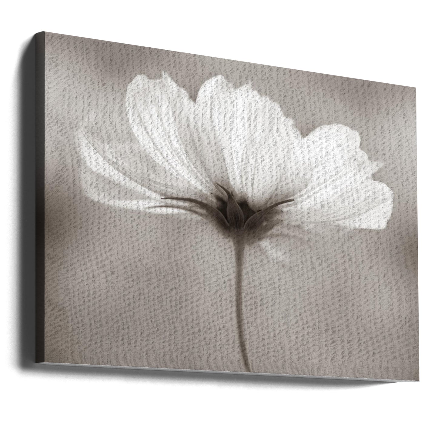 Kosmos | Canvasprints