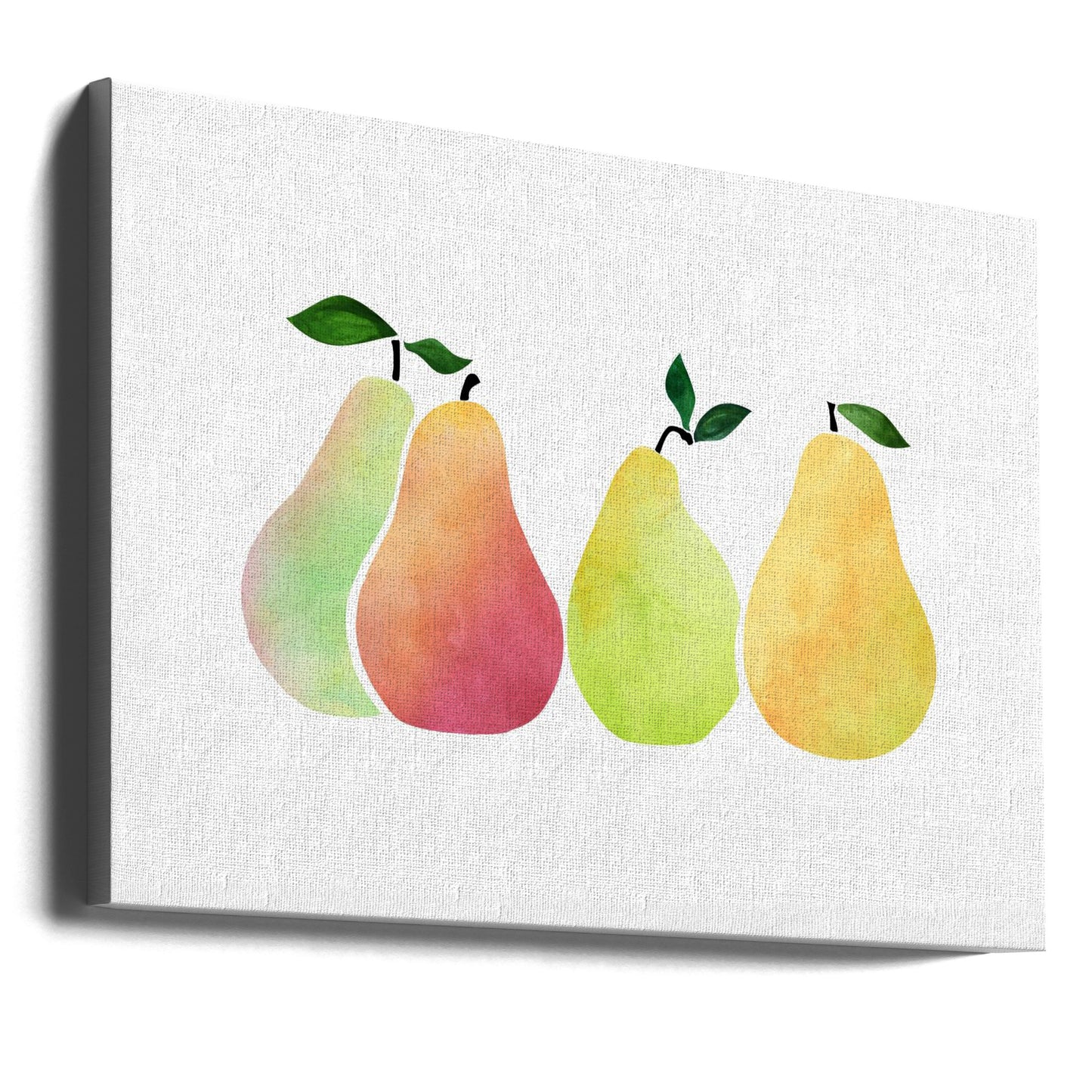 Pears | Canvas