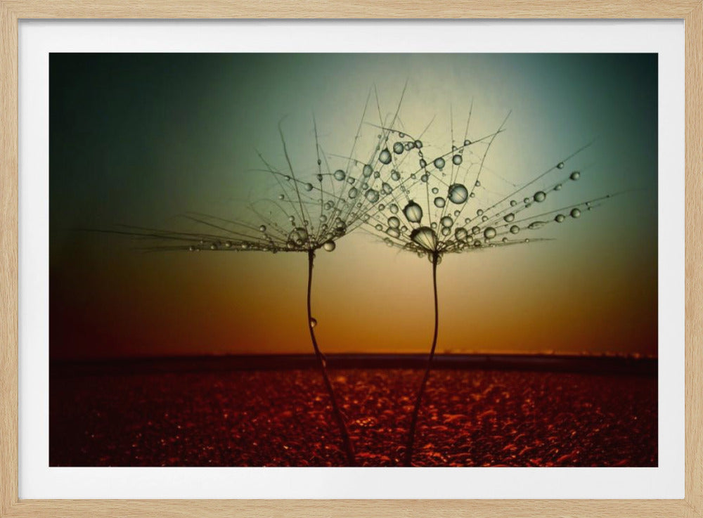 Feuer und Wasser | Poster - Kunstdruck