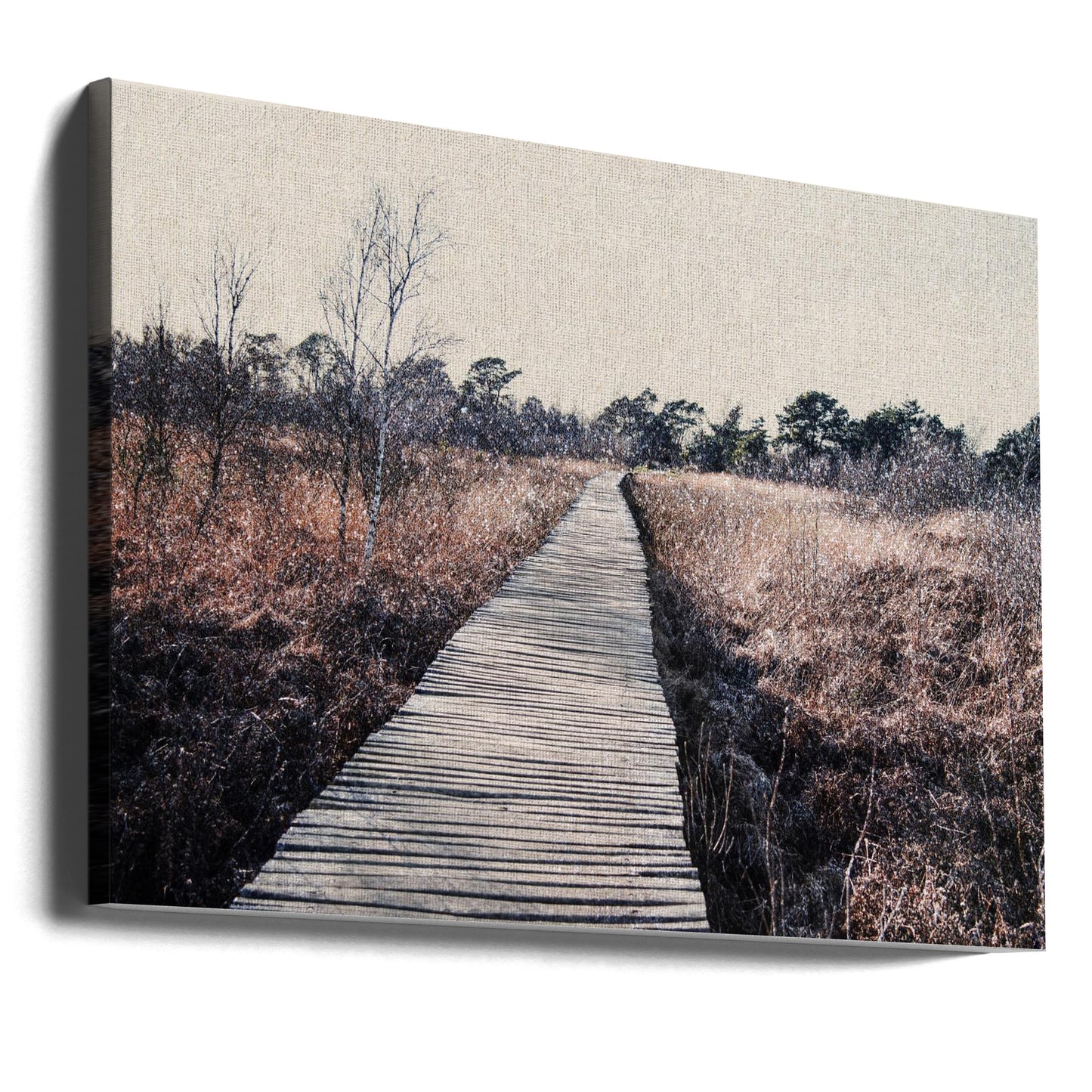 Naturreservat | Canvas