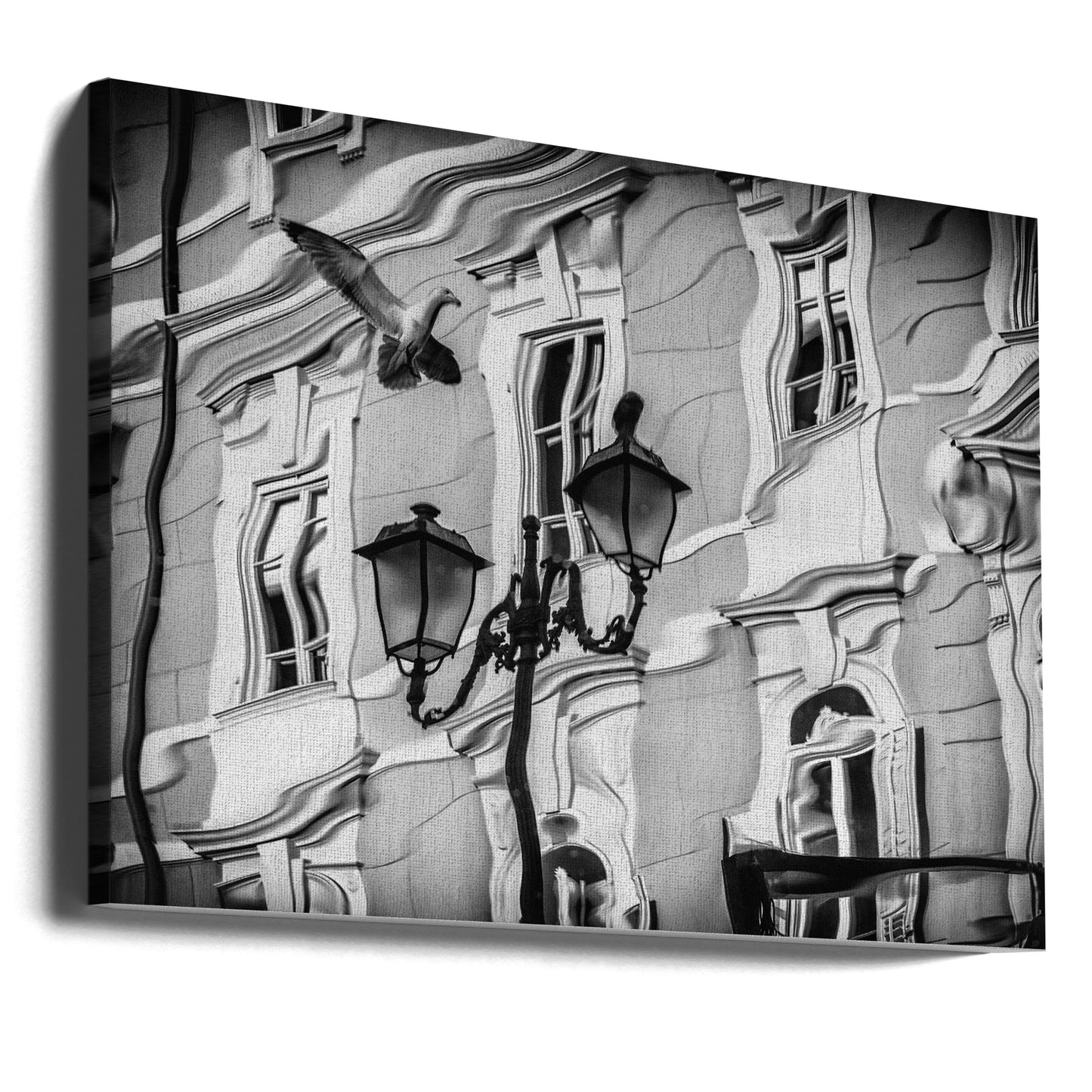 Möwenspiegelung | Leinwand-Bilder