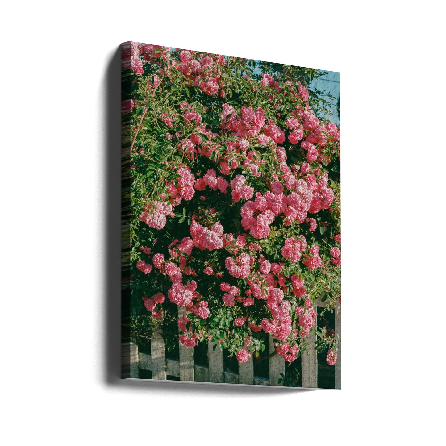 Cannon Beach Blooms | Canvas
