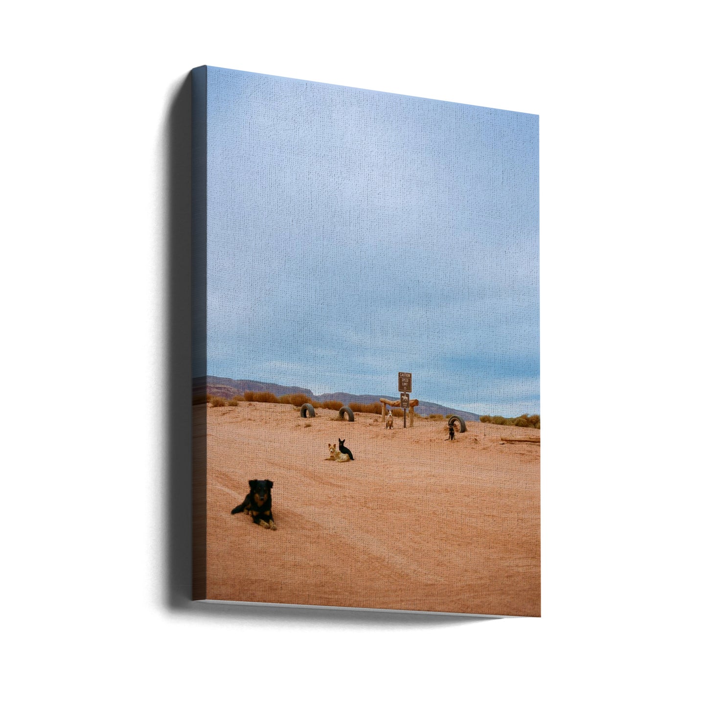 Monument Valley VIII | Canvastaulut