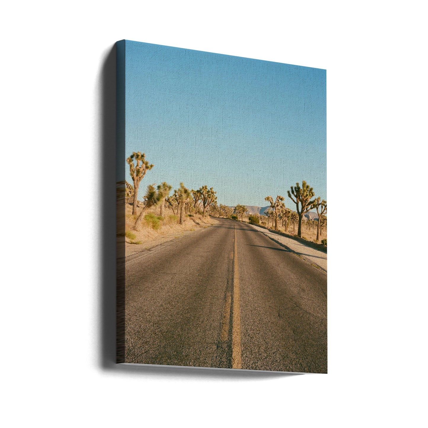 Joshua Tree Road II | Canvasprints