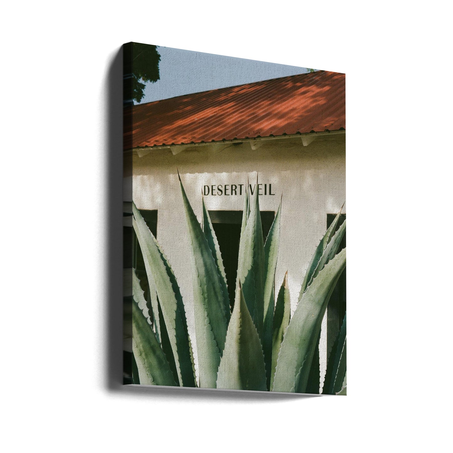 Desert Veil | Canvas