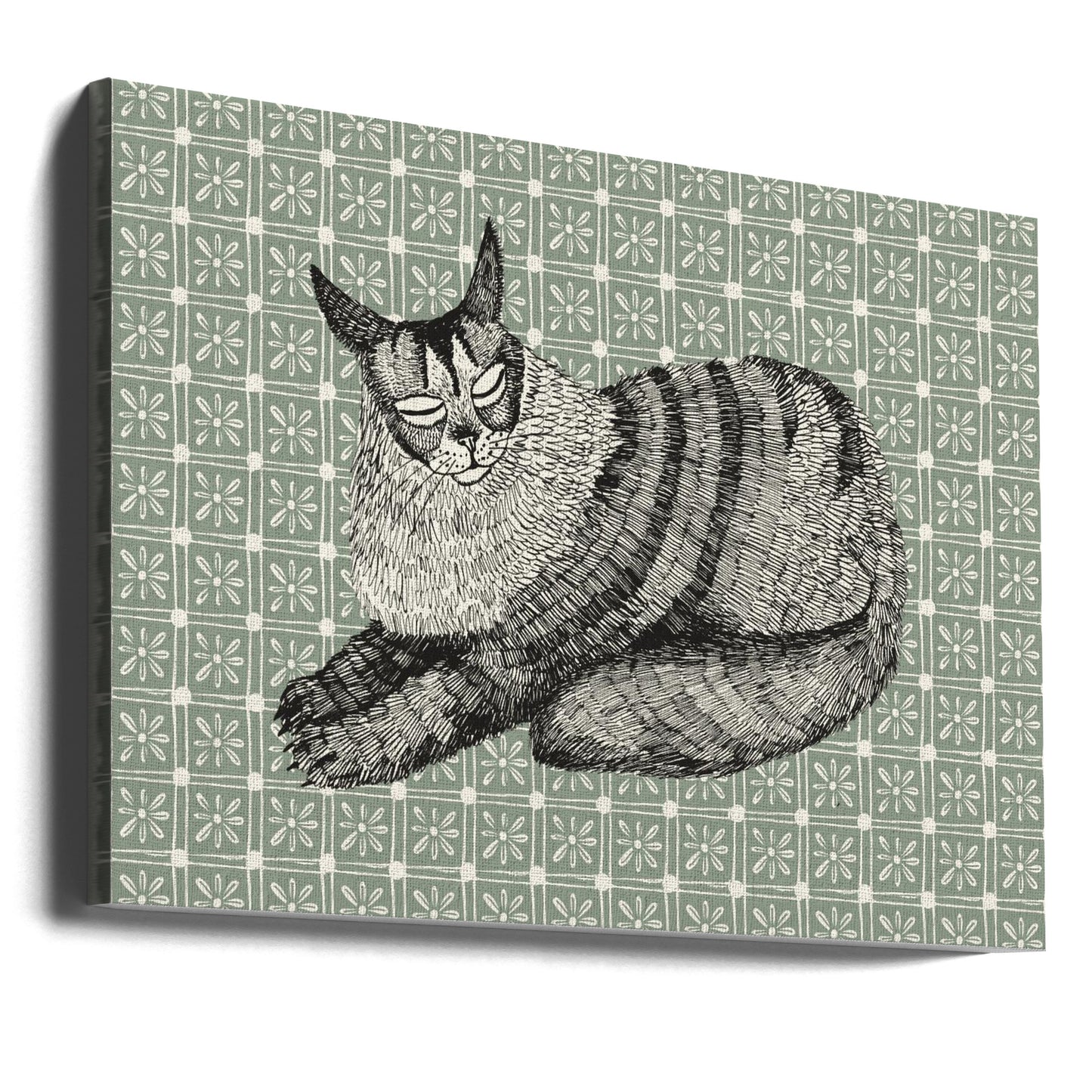 Maine Coon | Leinwand-Bilder
