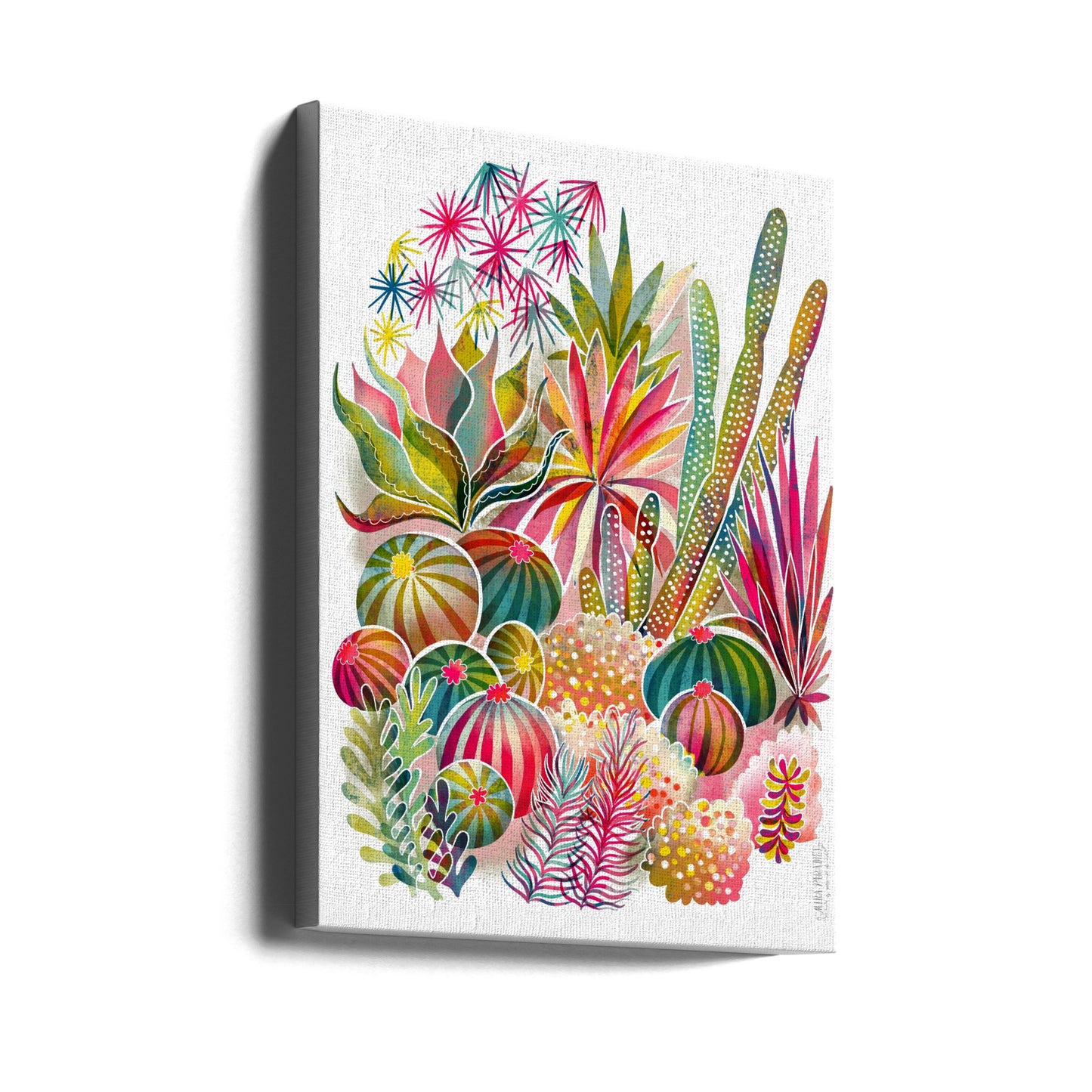 Blommande suckulenter och kaktusar | Canvas