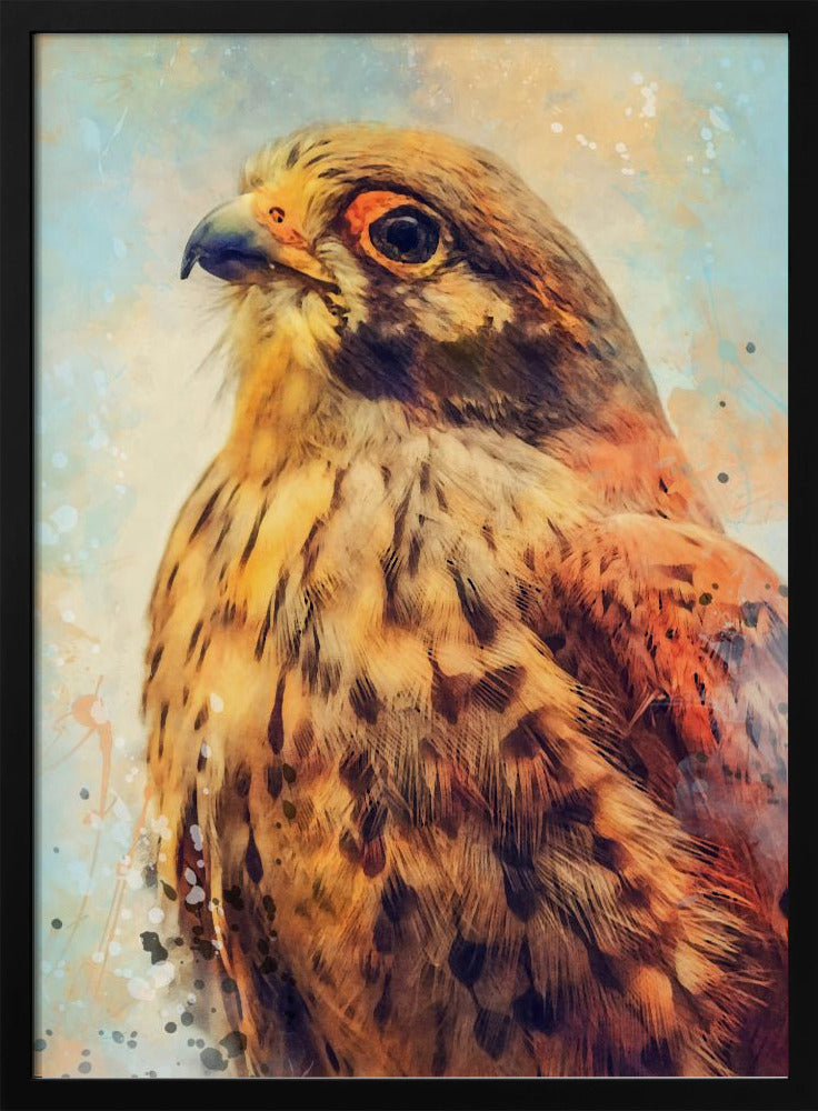 Animal Kestrel Watercolor Animal Art | Poster
