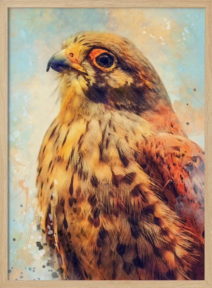 Animal Kestrel Watercolor Animal Art | Poster
