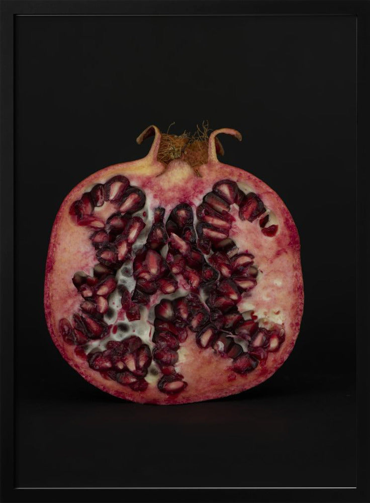 Seeded Heart | Poster