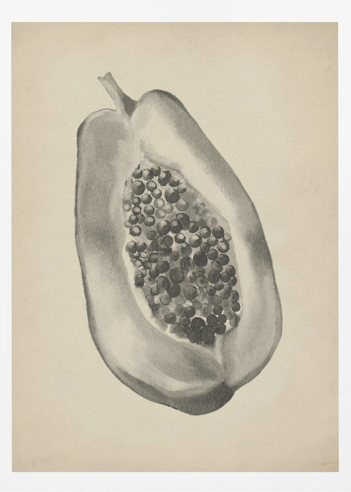 Vintage fruit botanical illustration | Poster