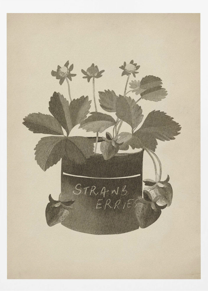 Vintage strawberry plant | Poster