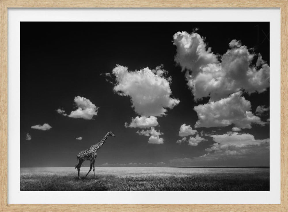 Autant en emporte les nuages | Posters - Affiche Artistique
