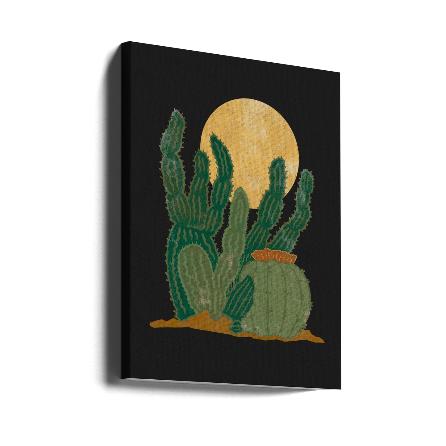 Americana moderna e cactus | Stampe su Tela
