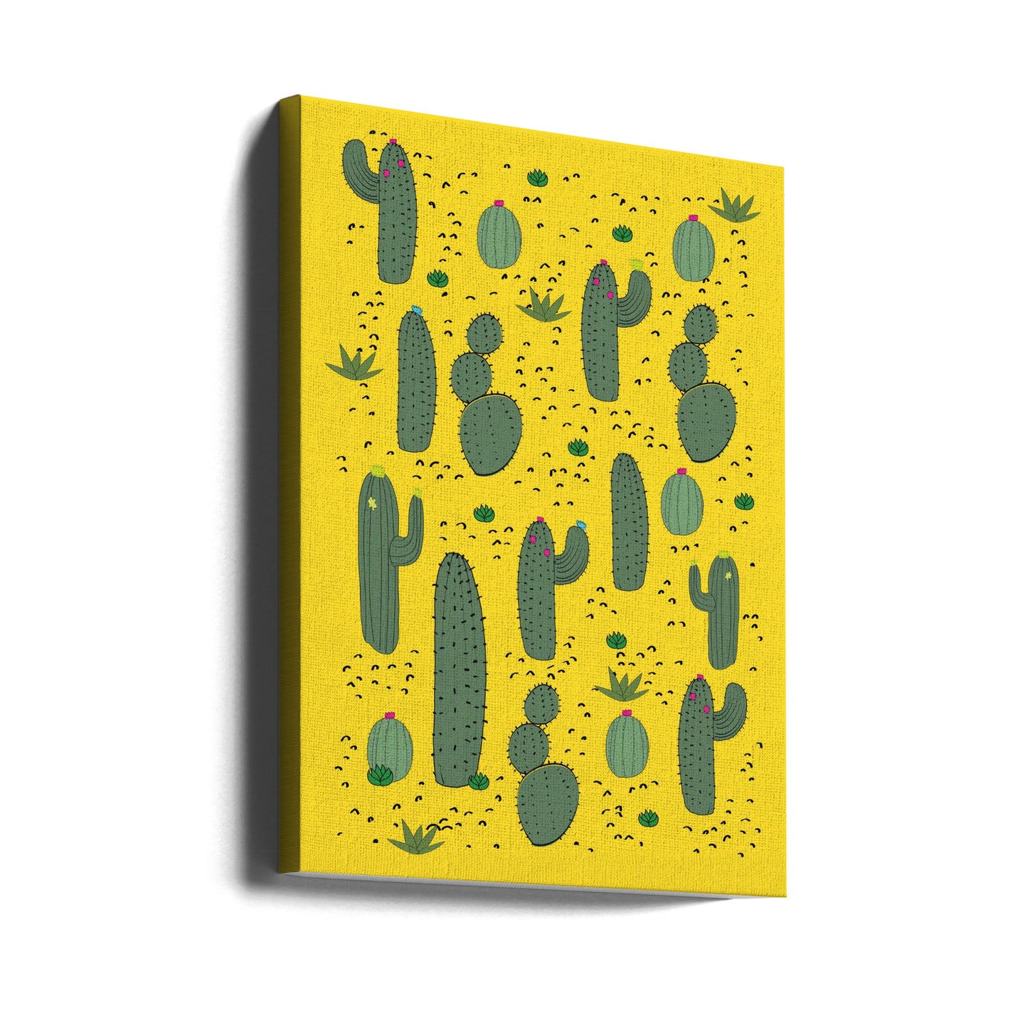 Cactus | Impresiones en Lienzo